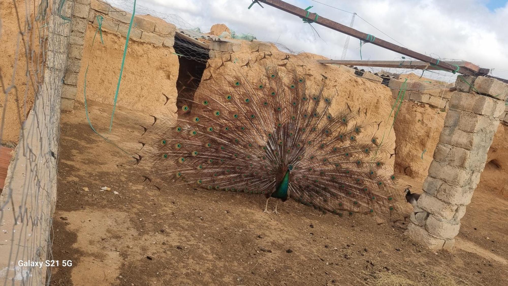 Maison D'Hote Dar Massouada Toujane 외부 사진